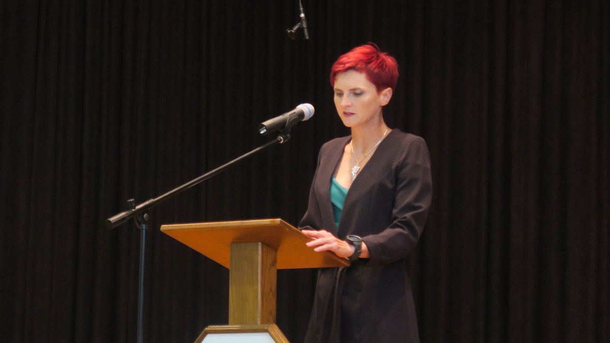 Dan općine Domašinec