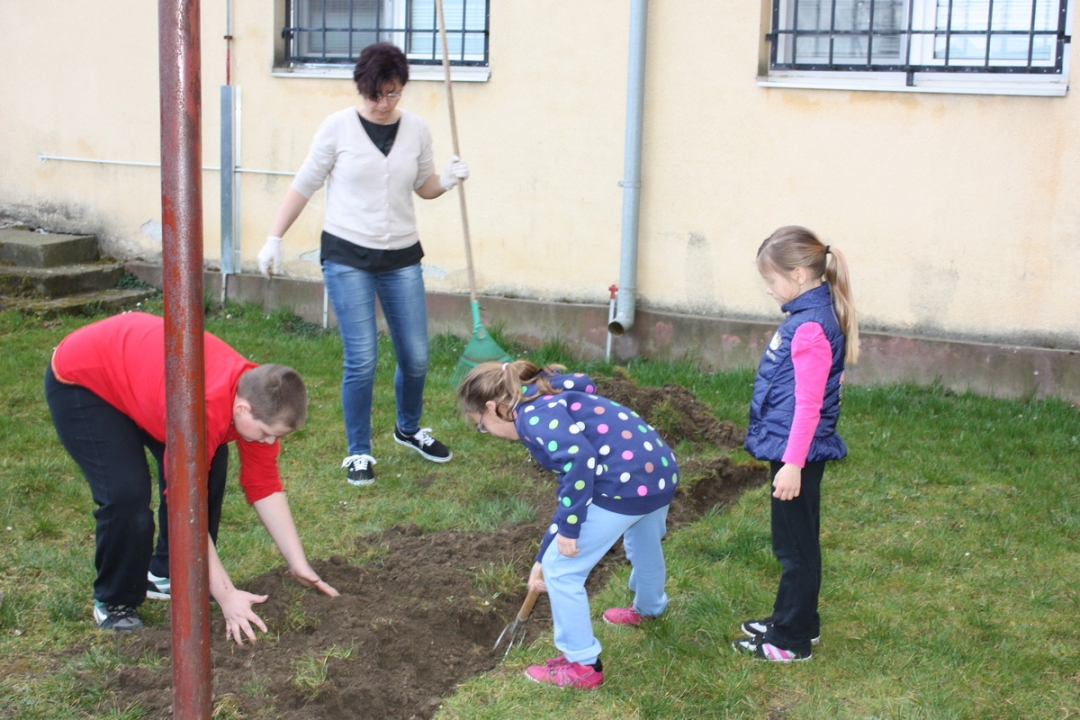 img4190resizekopija301871