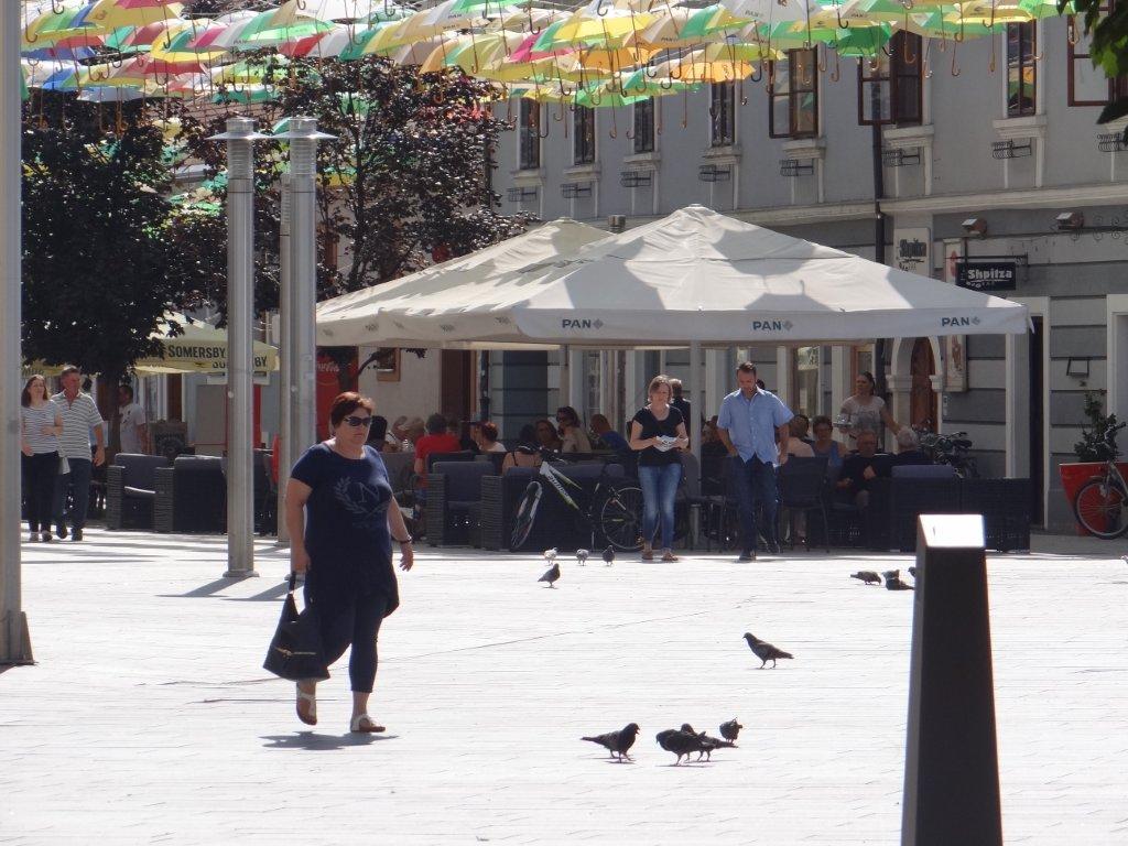 Prijepodnevna šetnja Čakovcem