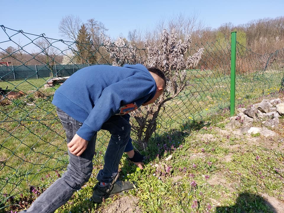 FOTO Područna škola Držimurec – Strelec: U dvorištu ih iznenadio zeko koji im je donio poklončiće za Uskrs FOTO Područna škola Držimurec – Strelec: U dvorištu ih iznenadio zeko koji im je donio poklončiće za Uskrs