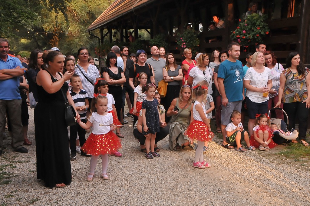 Prekrasan ljetni koncert Dominika Padarića i Stridonna na Muri