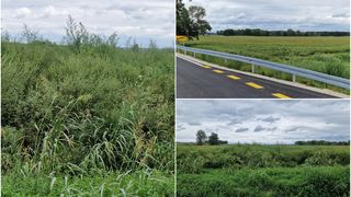 DONJI VIDOVEC ‘Sve je puno ambrozije! Zašto nitko ništa ne poduzima!?’