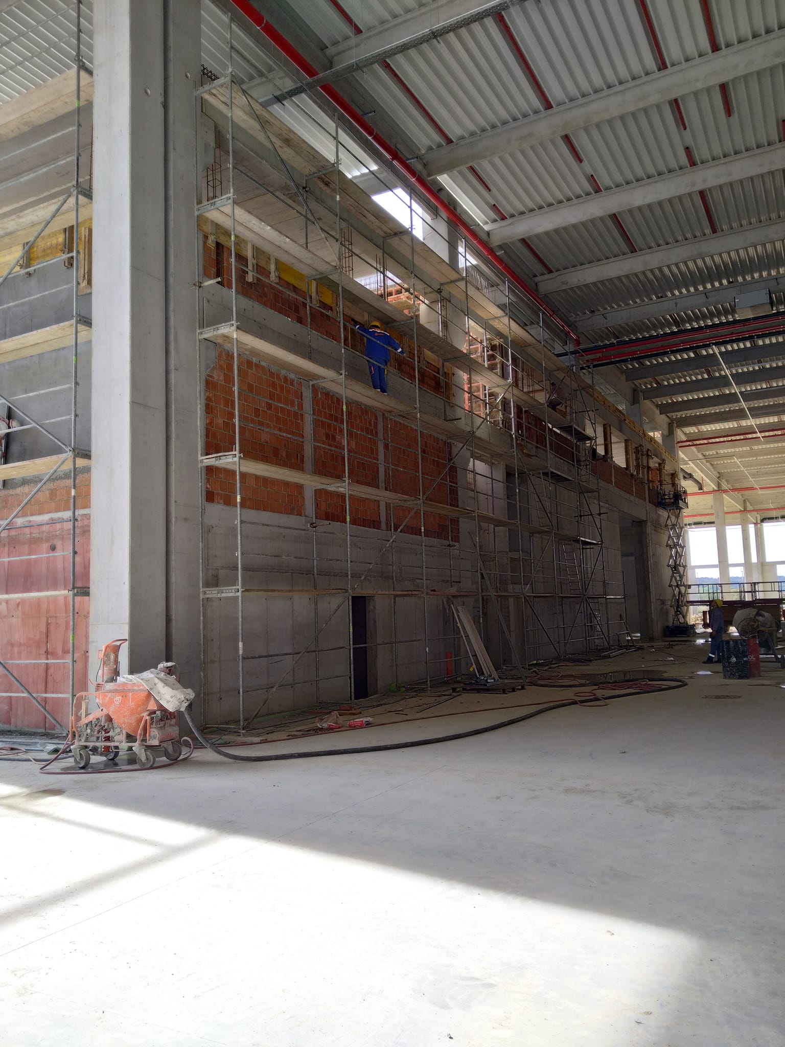 Image 5592145 (auto)