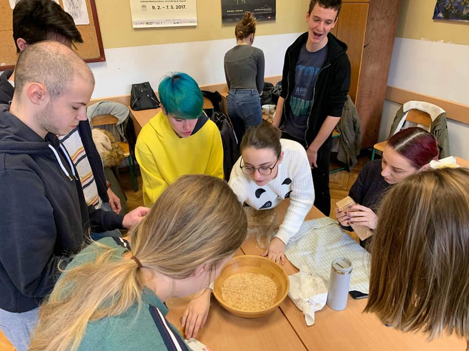 Gimnazijalci spravljali kolače bez pečenja, izgledaju vrlo primamljivo