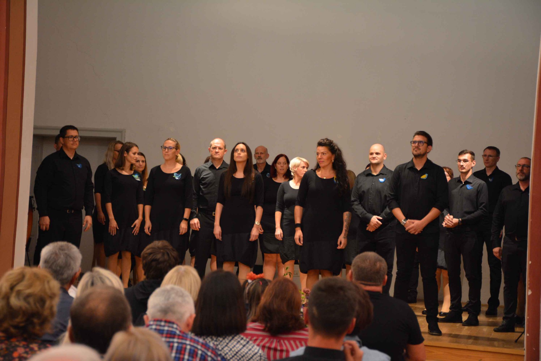 PREDIVNA SUBOTNJA VEČER Koncert Ansambla Pučpuljike