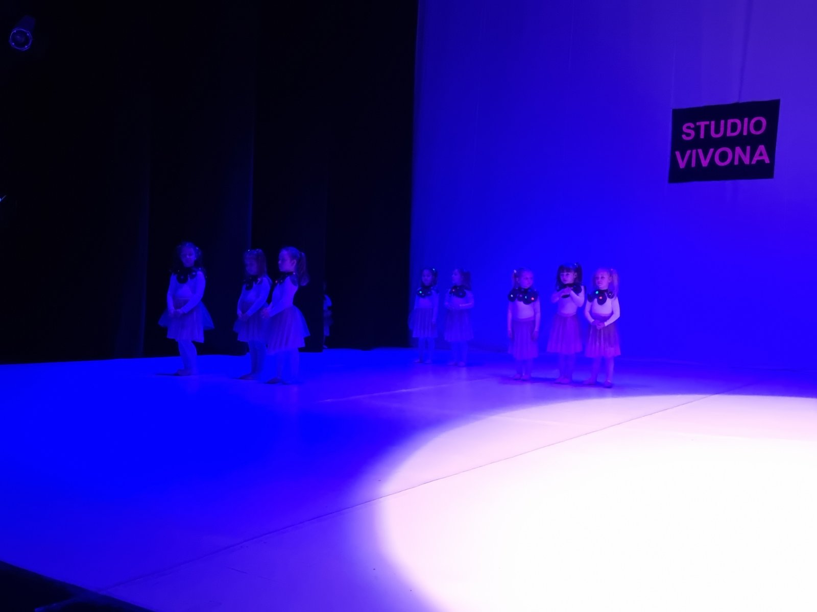 Zimska plesna produkcija