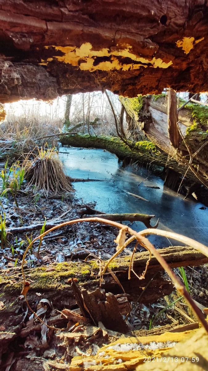Zvonimir Habuš iz Kotoribe očarava fotografijama netaknute prirode