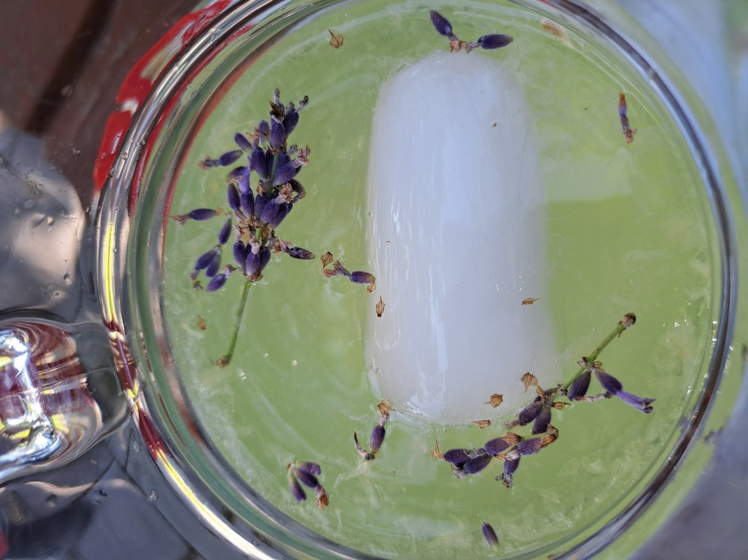 Mirisni vrt ETŠ Čakovec