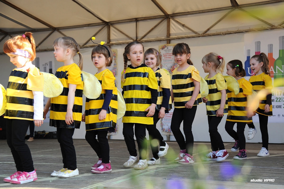 287611833dsc2827121497