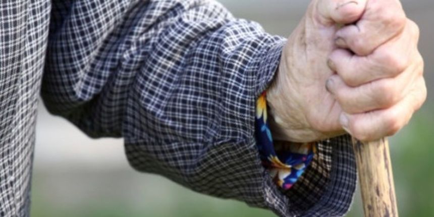 604994452014041113375462474 604994452014041113375462474