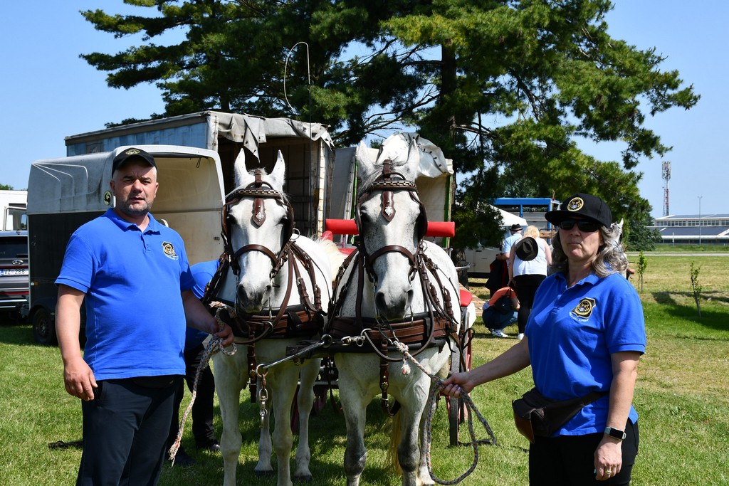 VIDEO I FOTO Međunarodno konjičko druženje okupilo brojne uzgajivače konja iz SZ Hrvatske te Slovenije i Austrije