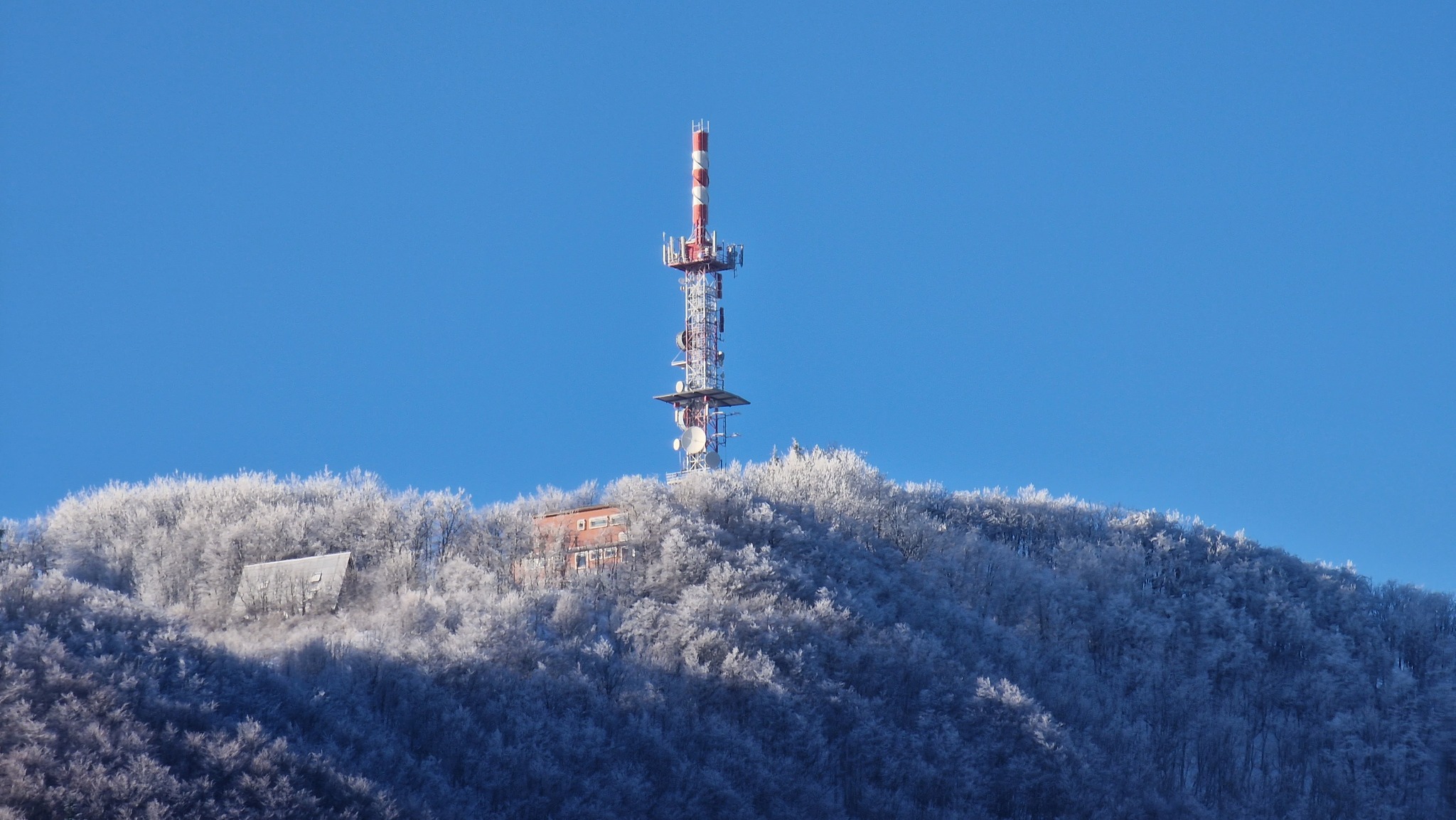 Image 5565703 (auto)