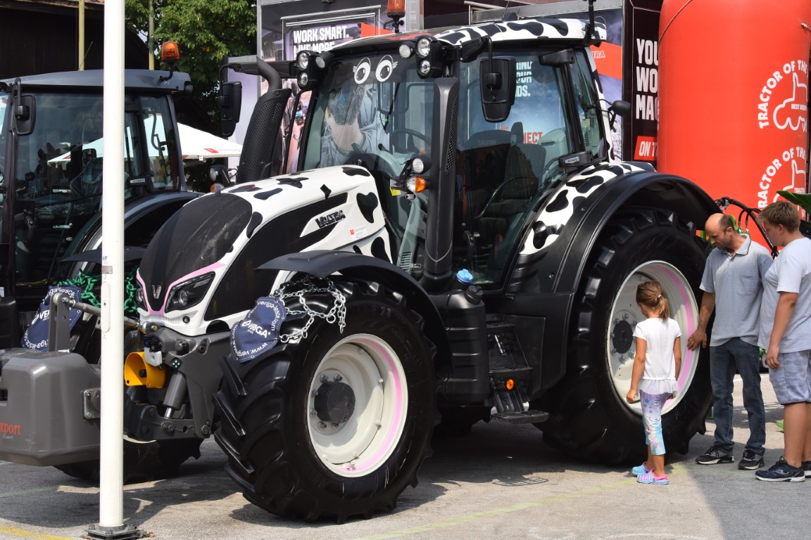 Image 5803687 (auto)