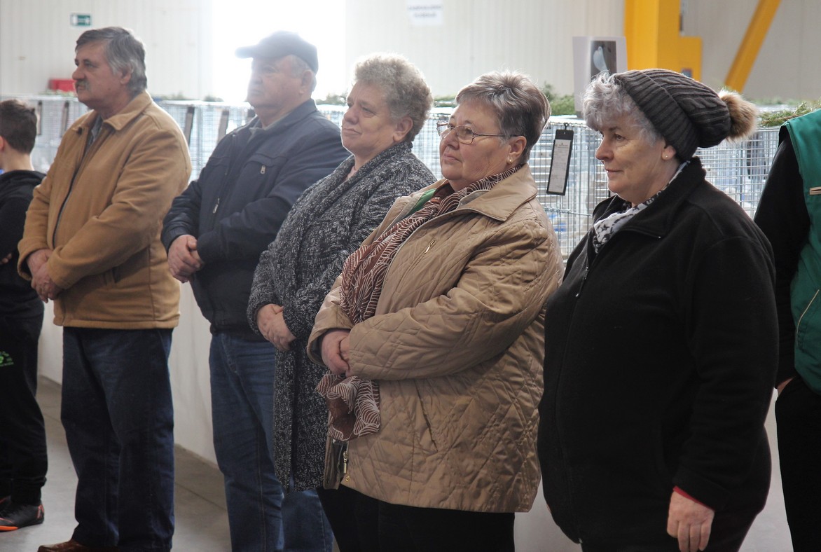 Otvorena izložba malih životinja u Nedelišću