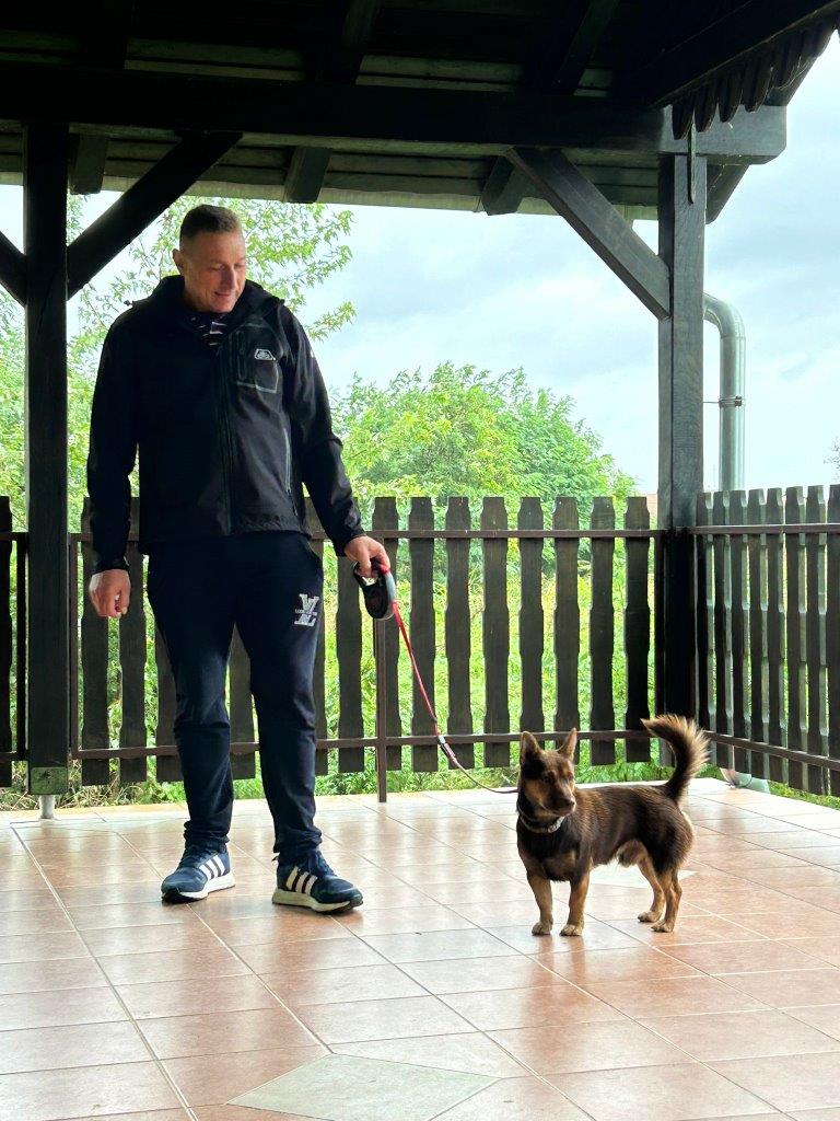 FOTO Održan 32. uzgojni pregled i smotra malog međimurskog psa u Donjoj Dubravi