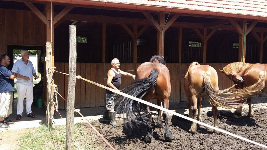 1957671413685233465505057697140