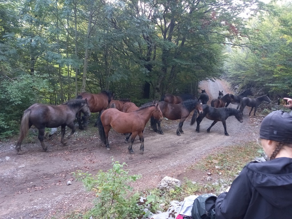 DAMIR BOGDAN U POTHVATU HIGHLANDER Devet žuljeva u četiri dana