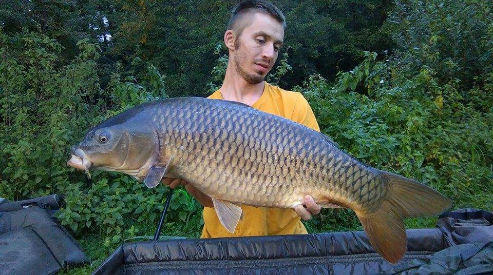 received1151397964871791248186