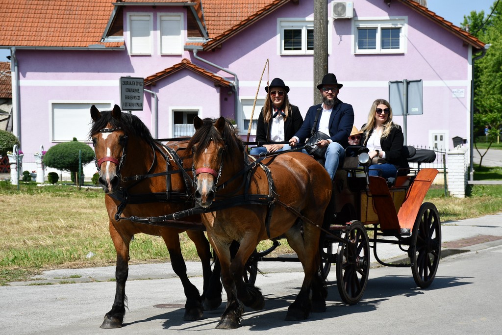 VIDEO I FOTO Međunarodno konjičko druženje okupilo brojne uzgajivače konja iz SZ Hrvatske te Slovenije i Austrije