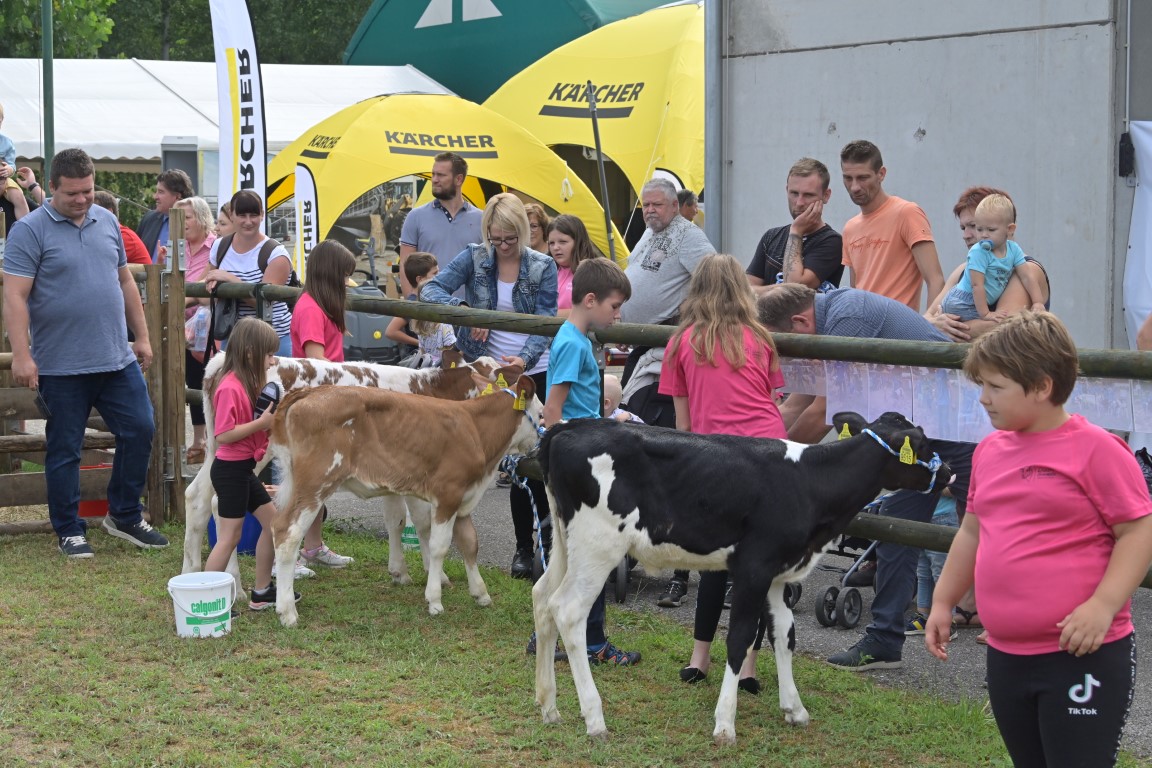 Image 5803661 (auto)