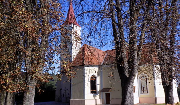 Dani općine Selnica