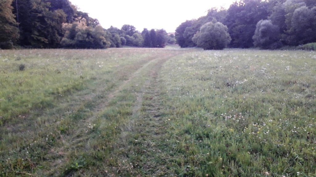 bedekovićeve grabe (1)