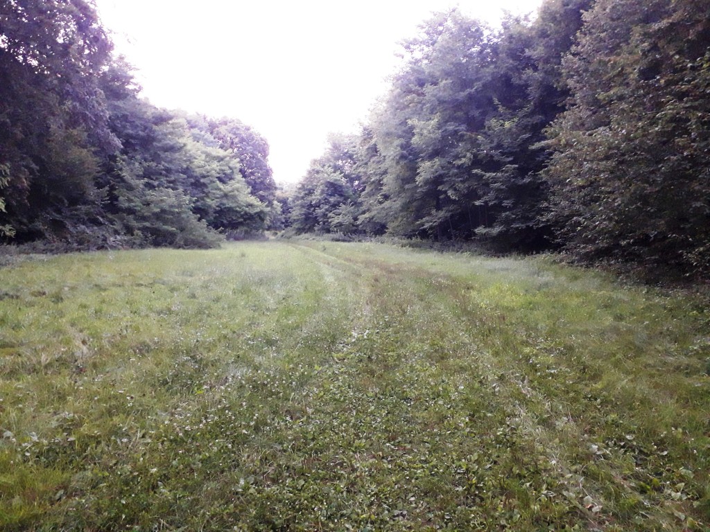 bedekovićeve grabe (10)