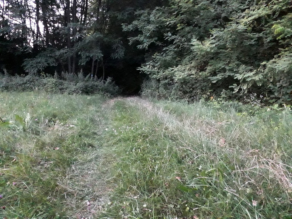 bedekovićeve grabe (11)