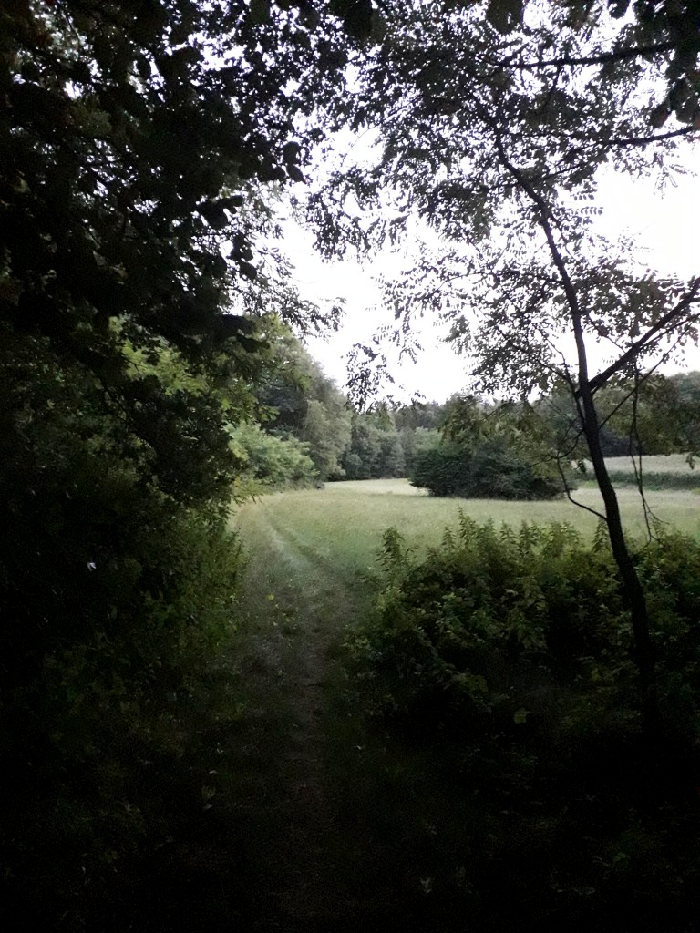 bedekovićeve grabe (12)