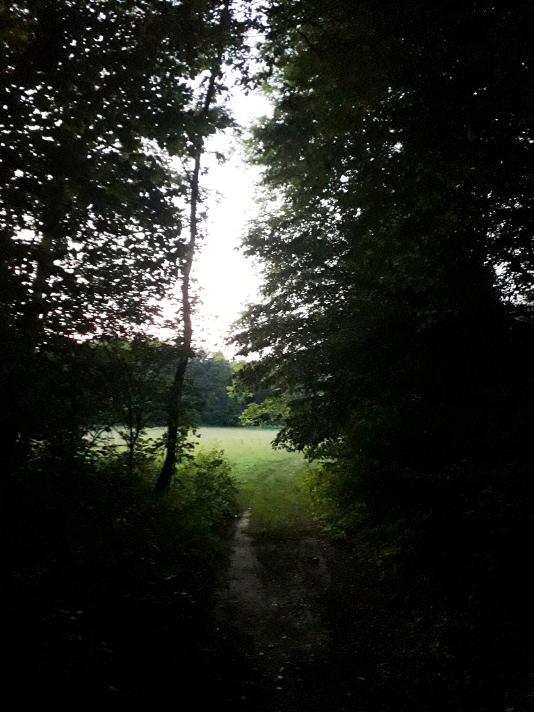 bedekovićeve grabe (13)