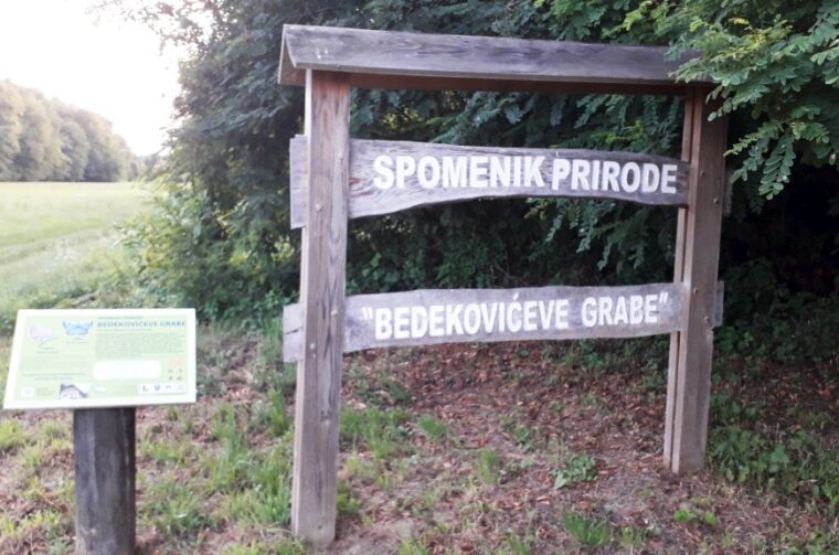 bedekovićeve grabe (16)