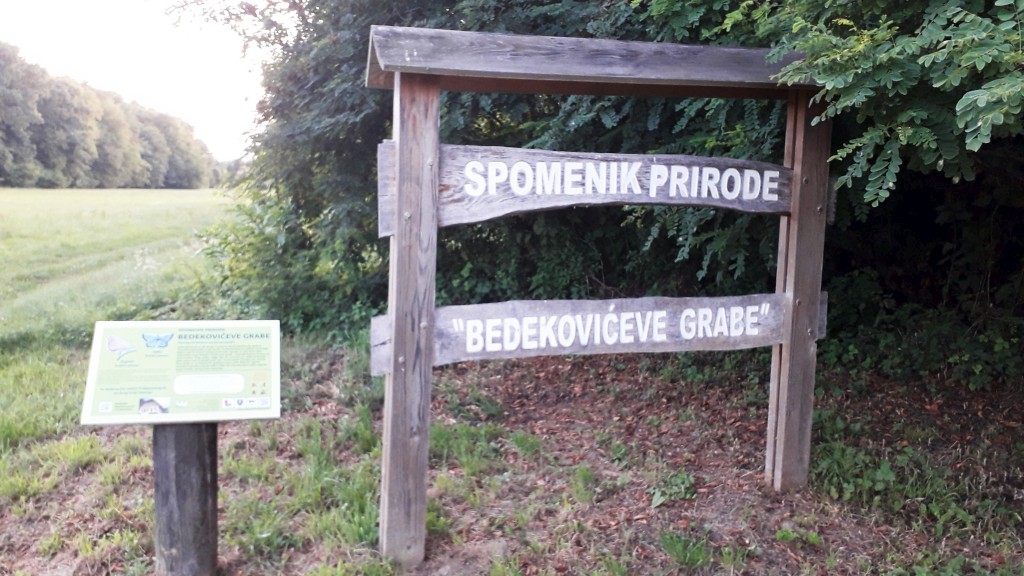 bedekovićeve grabe (16)