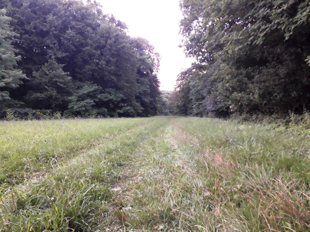 bedekovićeve grabe (9)