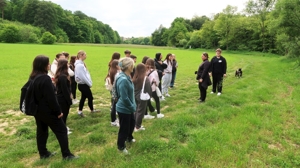 bedekovićeve grabe,projekt,škola pleškovec (12) bedekovićeve grabe,projekt,škola pleškovec (12)