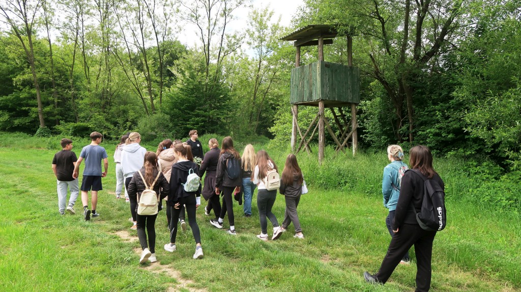 bedekovićeve grabe,projekt,škola pleškovec (13) bedekovićeve grabe,projekt,škola pleškovec (13)