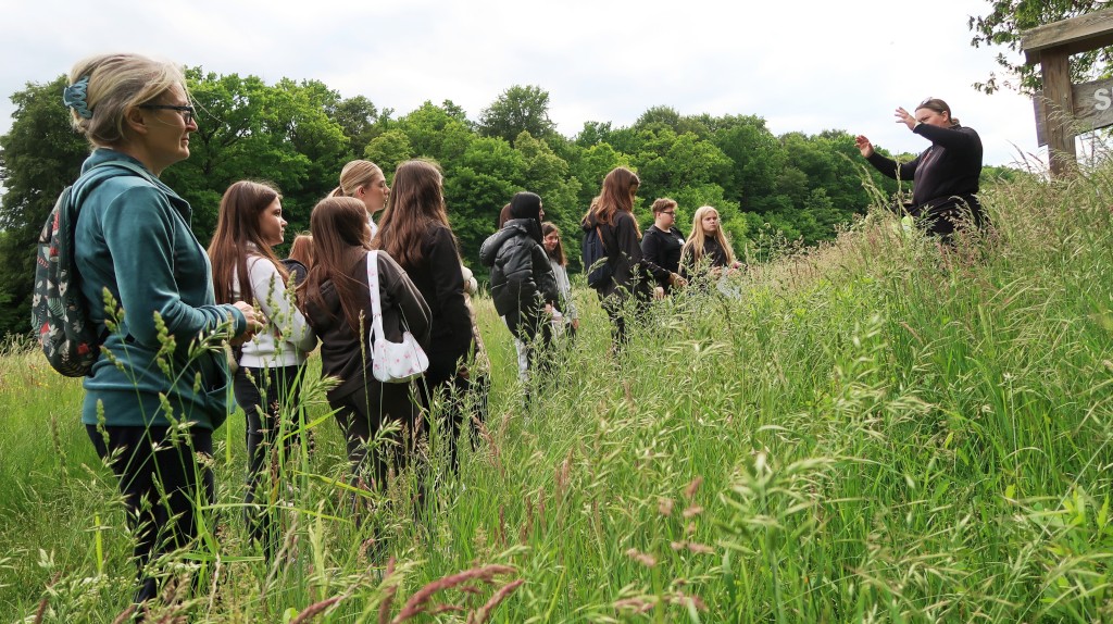 bedekovićeve grabe,projekt,škola pleškovec (15) bedekovićeve grabe,projekt,škola pleškovec (15)
