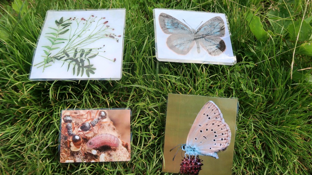 bedekovićeve grabe,projekt,škola pleškovec (18) bedekovićeve grabe,projekt,škola pleškovec (18)