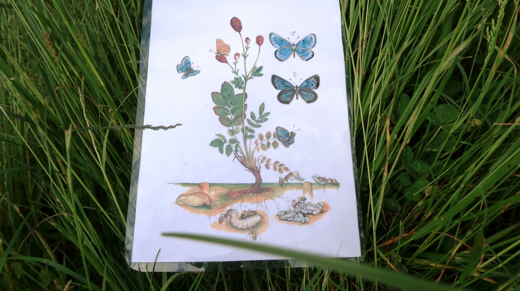 bedekovićeve grabe,projekt,škola pleškovec (19) bedekovićeve grabe,projekt,škola pleškovec (19)