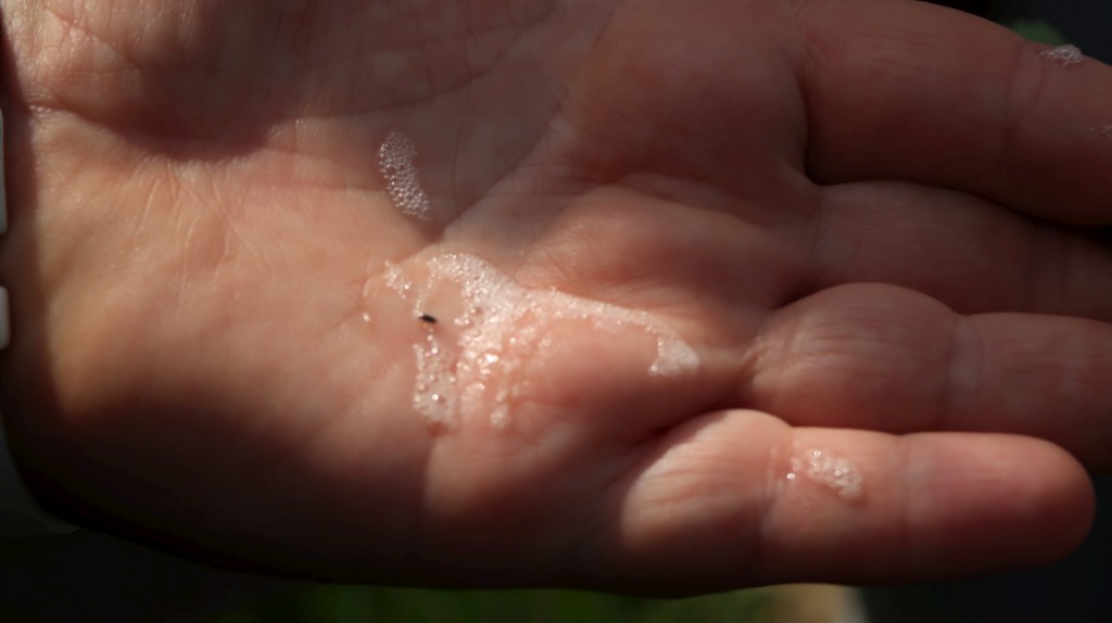 bedekovićeve grabe,projekt,škola pleškovec (22) bedekovićeve grabe,projekt,škola pleškovec (22)