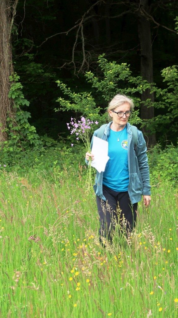 bedekovićeve grabe,projekt,škola pleškovec (28) bedekovićeve grabe,projekt,škola pleškovec (28)