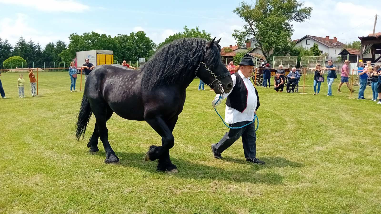 PREKRASNI SU Izložba međimurskog konja u Nedelišću