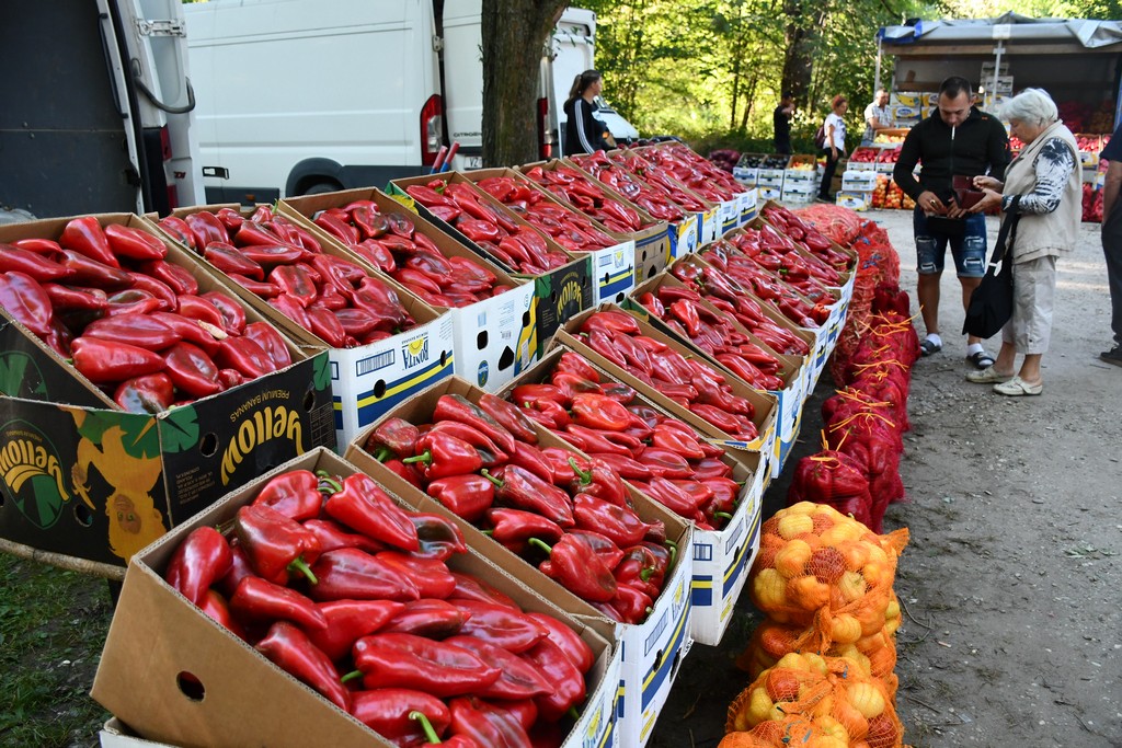 Čakovečki sajam (srijeda, 6.9.2023.)