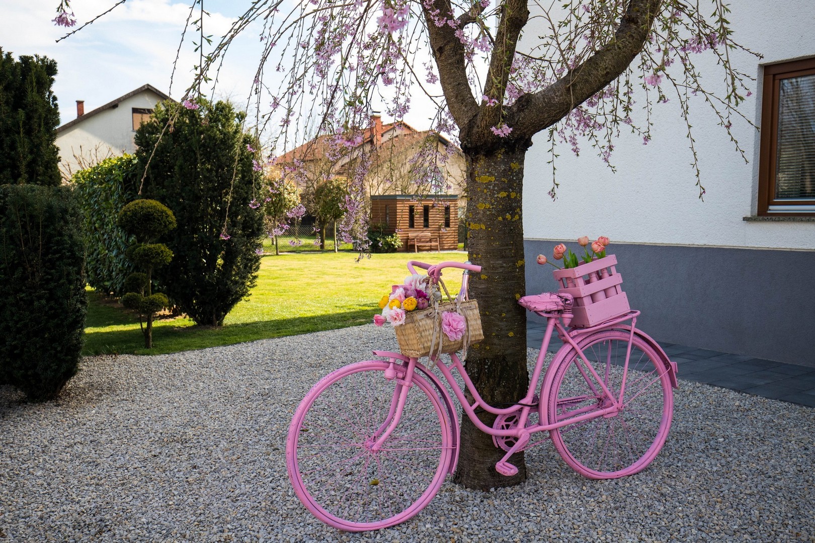 Proljetna cvjetna rapsodija u Međimurju iz objektiva Miroslave Novak Hranjec