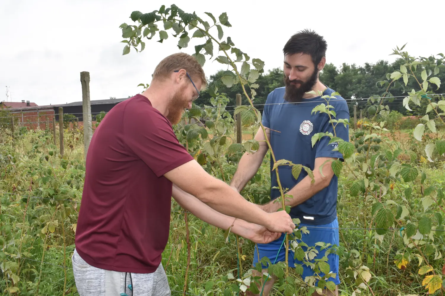 benjamin zdolec celine,voćnjak (1)