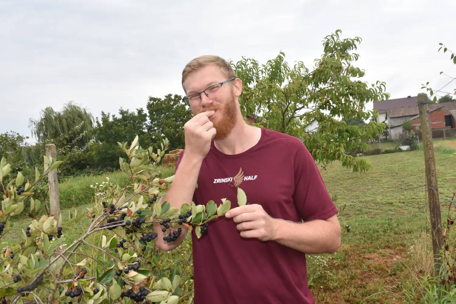 benjamin zdolec celine,voćnjak (4)