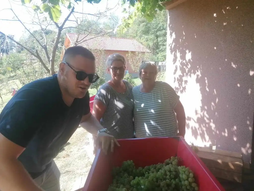 berba na balog bregu (11)