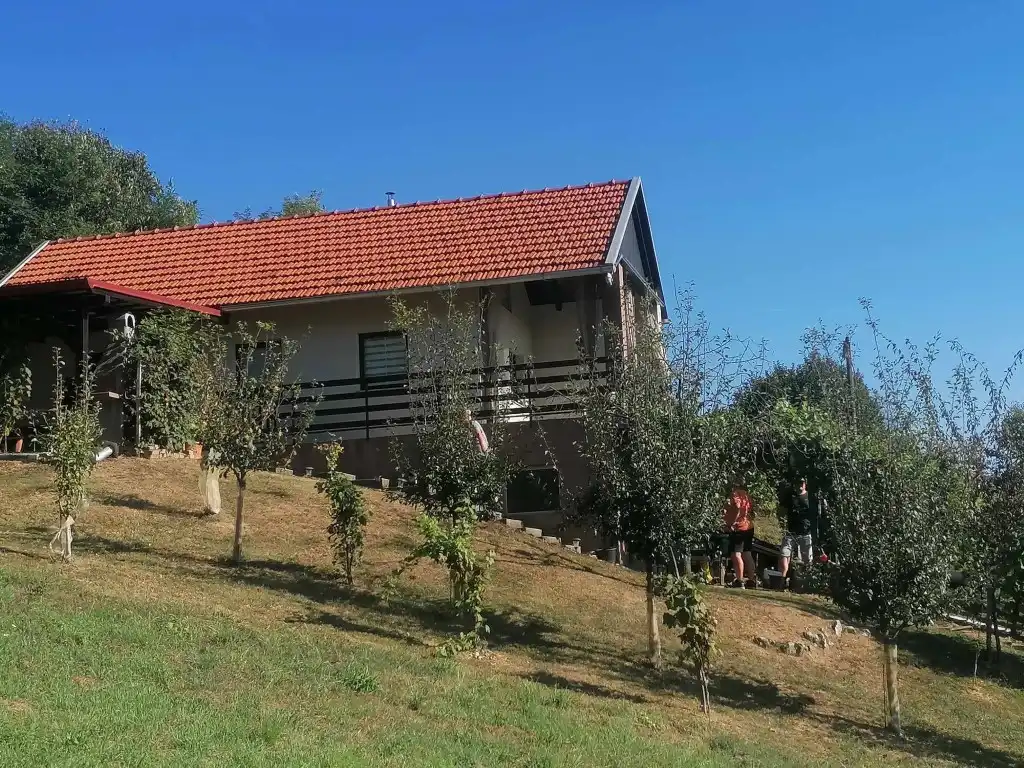 berba na balog bregu (14)