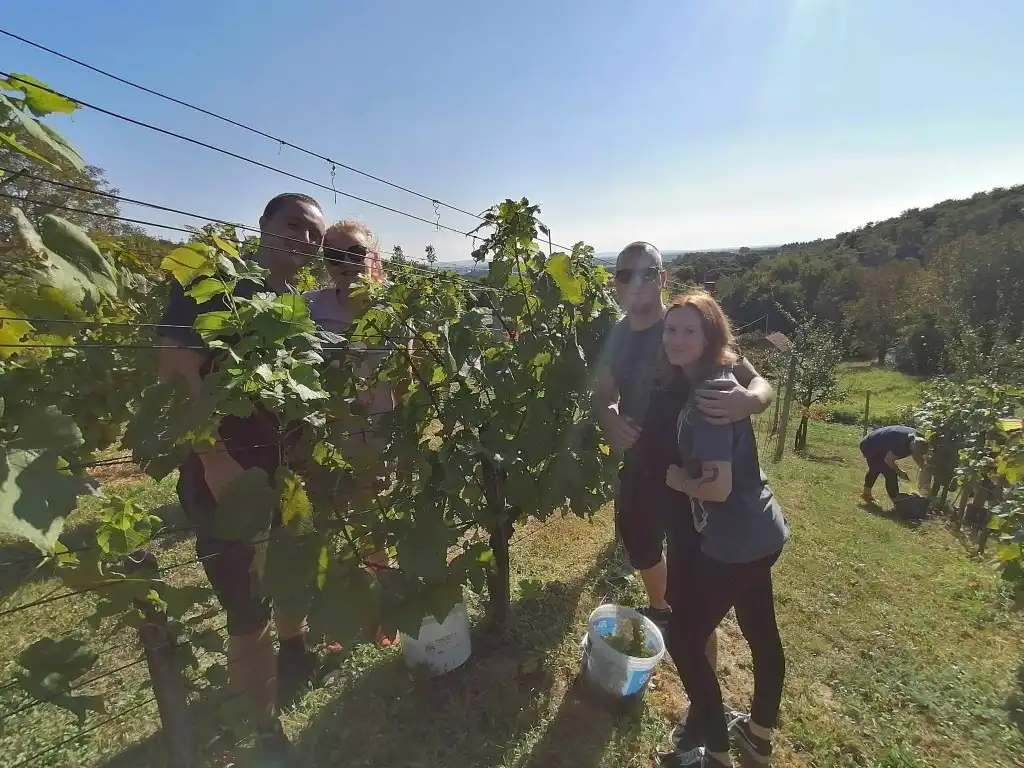 berba na balog bregu (24)