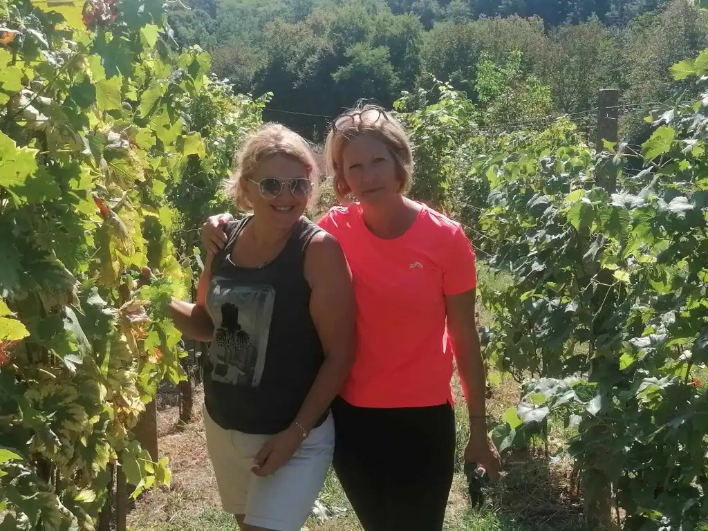 berba na balog bregu (25)