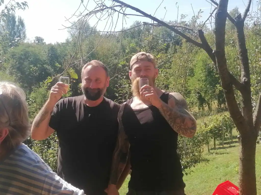 berba na balog bregu (27)